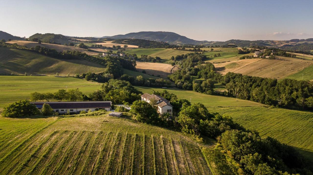 Agriturismo Podere Coldifico Sassoferrato Extérieur photo